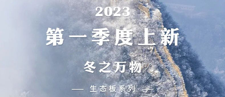 智閣上新 | 2023一季度生態板新品-冬之萬物